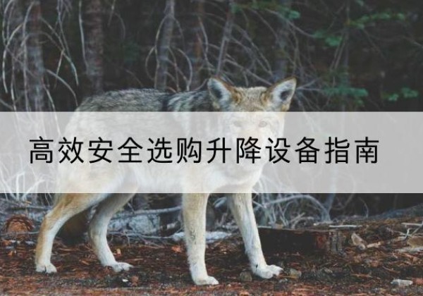 湘乡升降货梯厂家推荐-*安全选购升降设备指南
