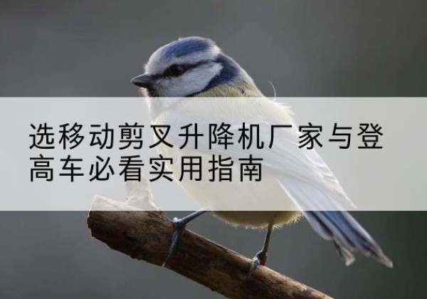 湘乡电动升降机厂家-选移动剪叉升降机厂家与登高车必看实用指南